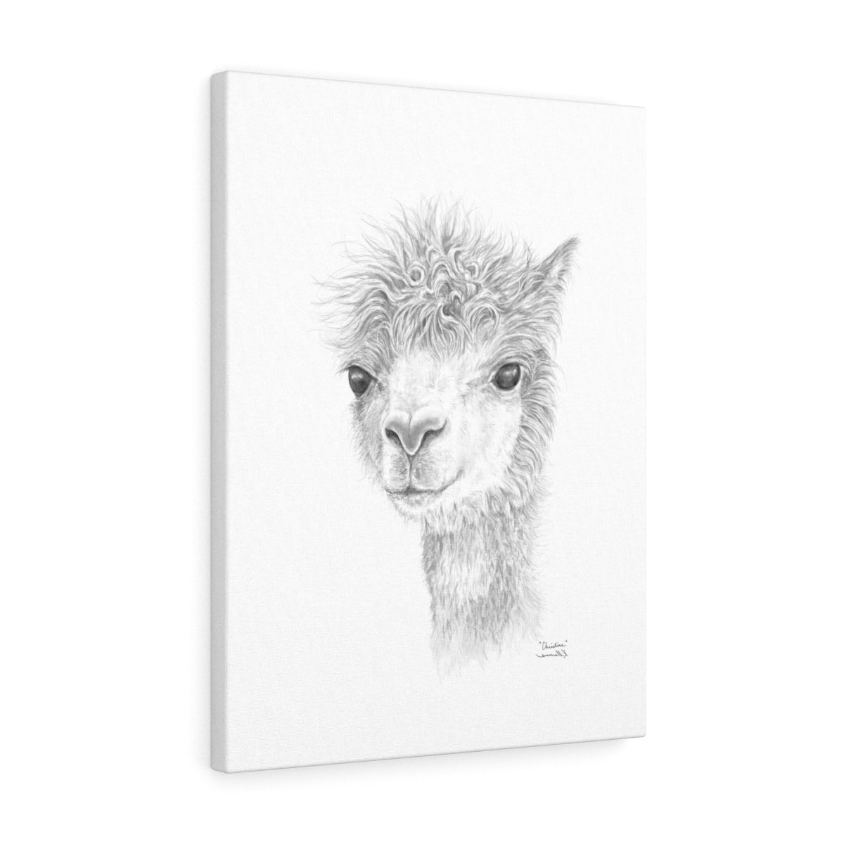 CHRISTINE Llama - Art Canvas