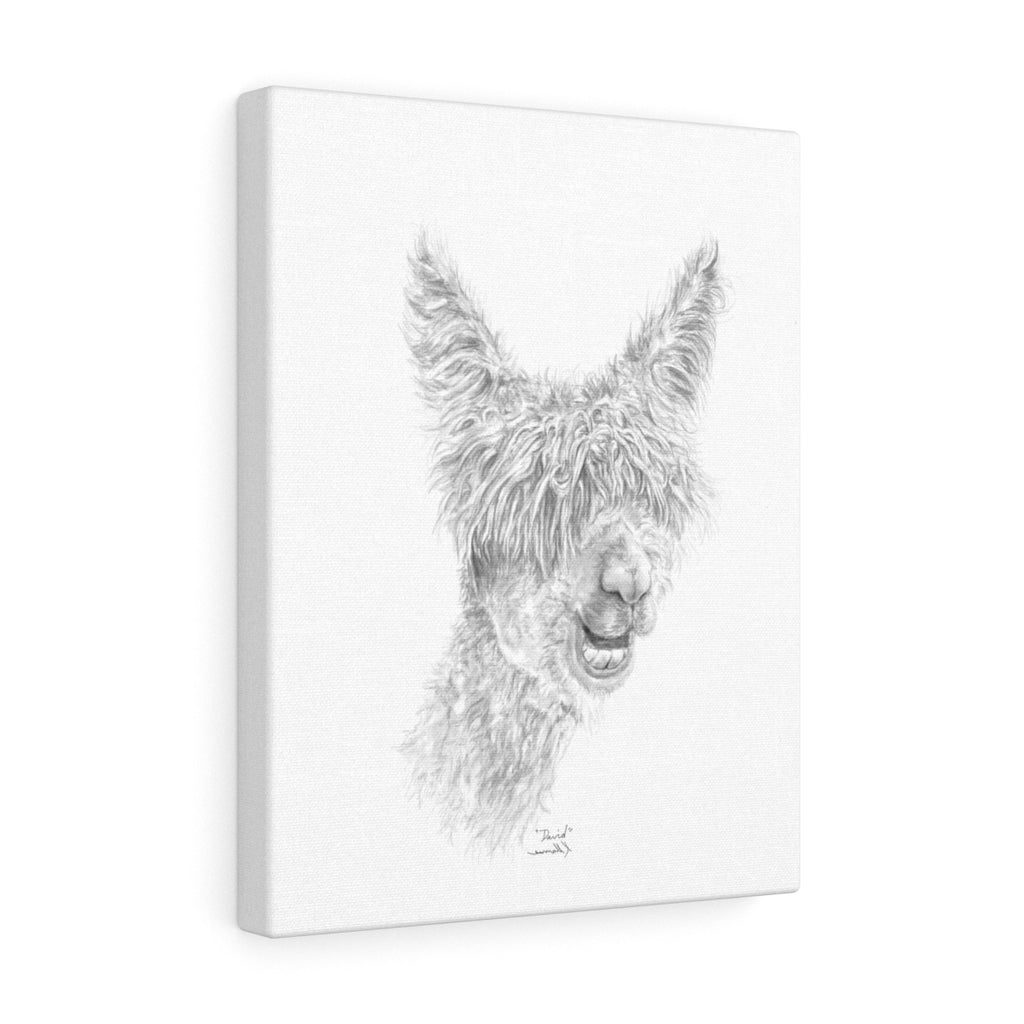 DAVID Llama - Art Canvas