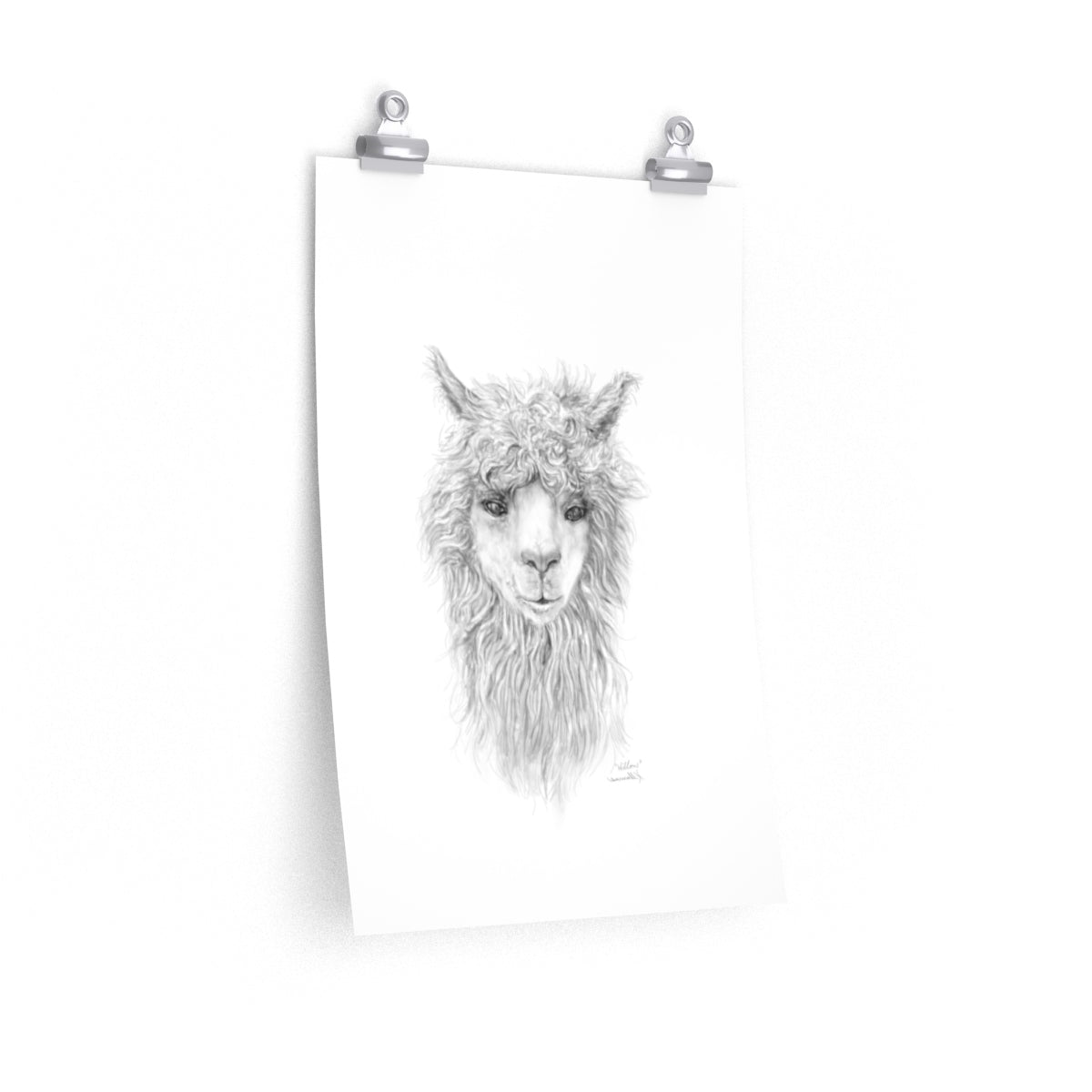 WILLOW Llama- Art Paper Print