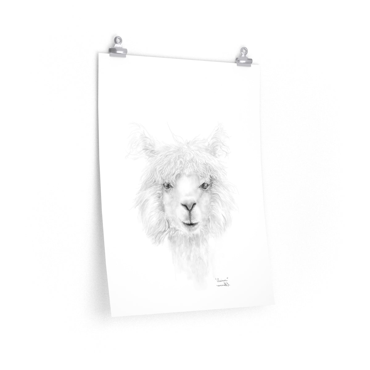 QUINN Llama- Art Paper Print