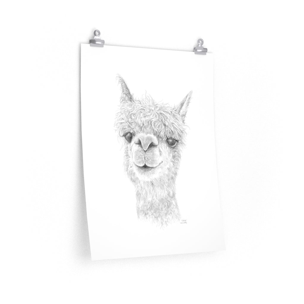 DAKOTA Llama- Art Paper Print