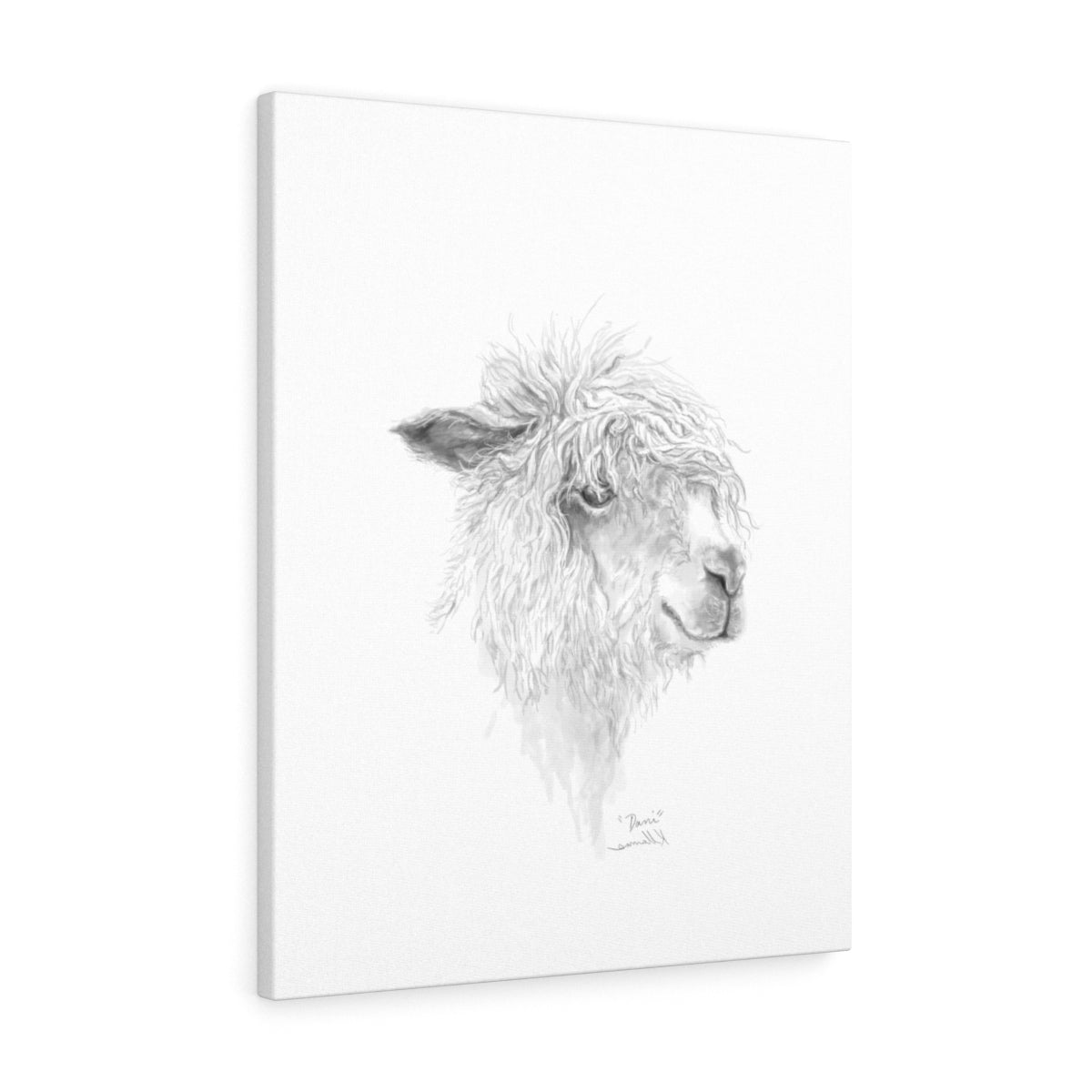 DANI Llama - Art Canvas
