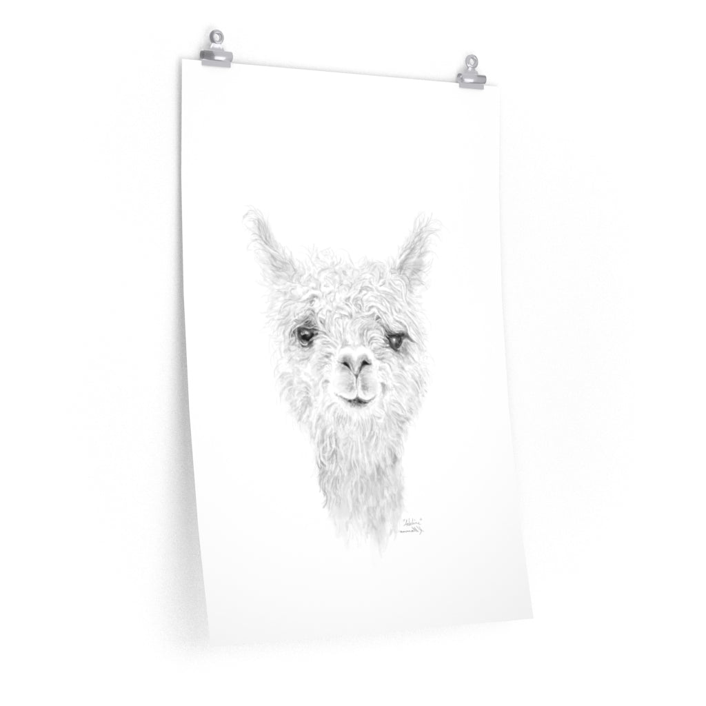 ADELINE Llama- Art Paper Print
