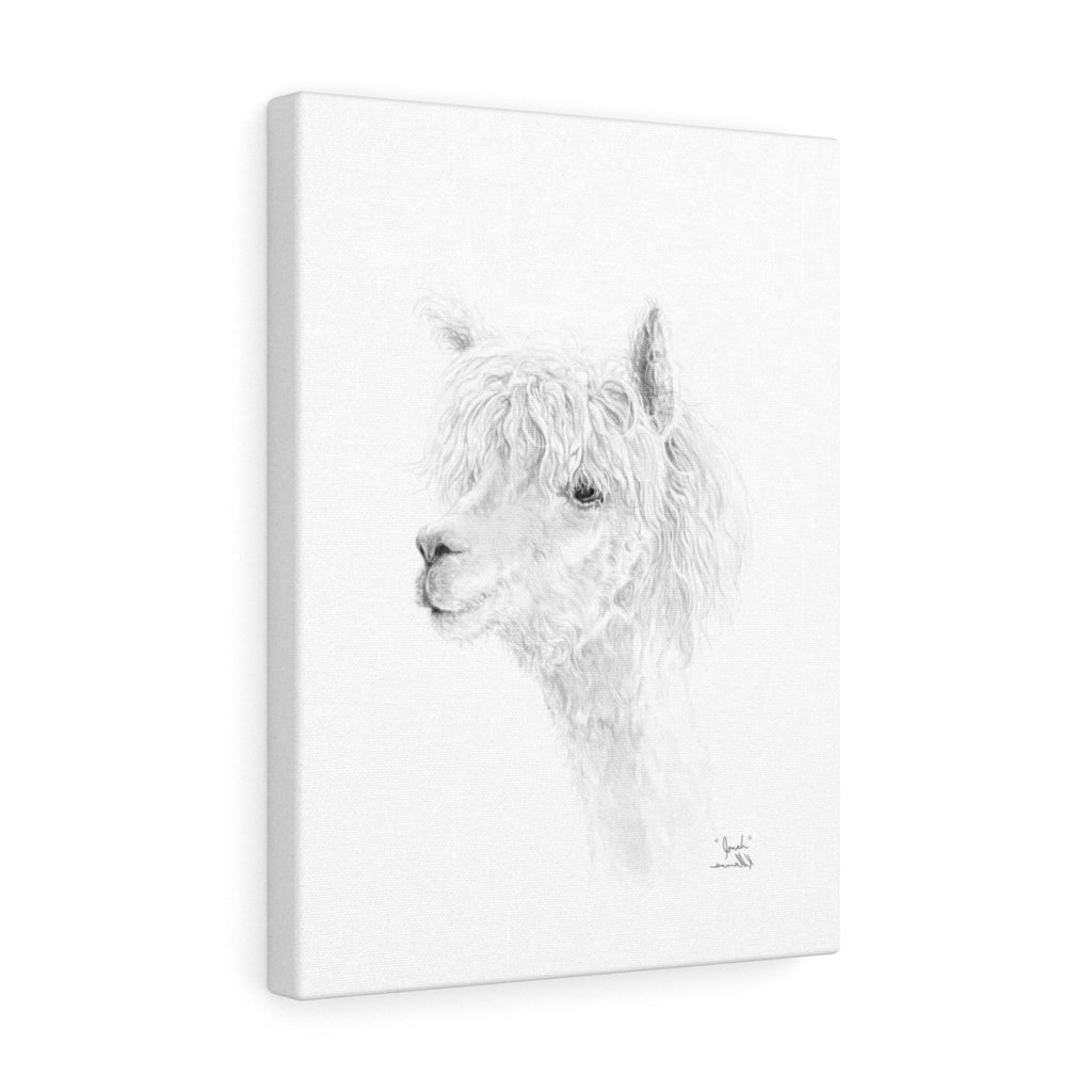 JONAH llama- Art Canvas