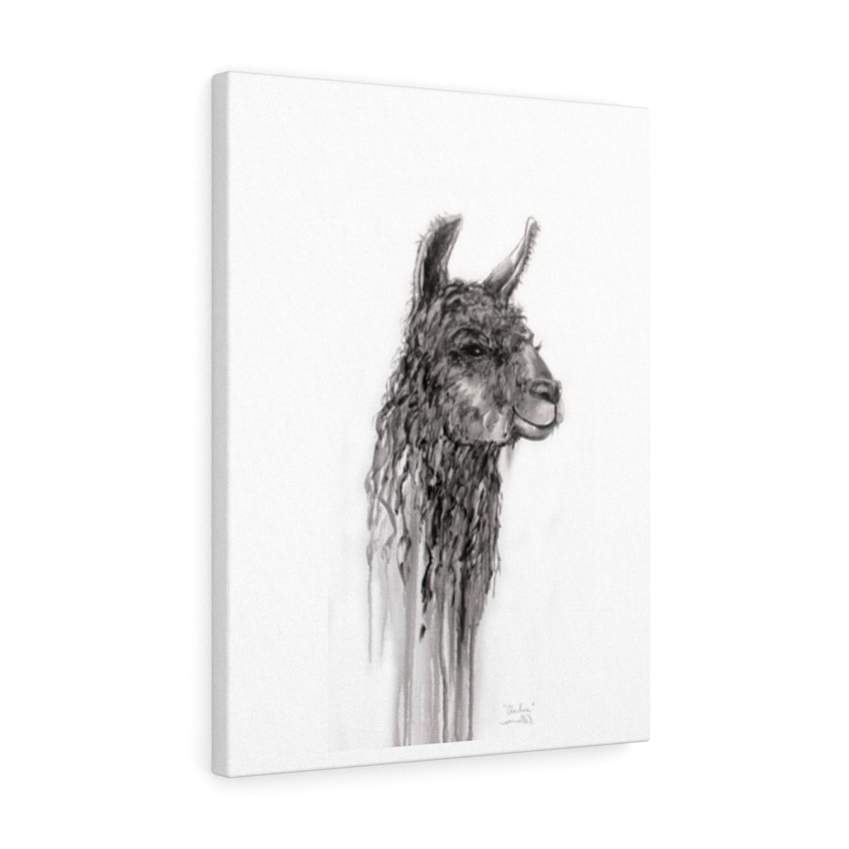 CHARLENE Llama - Art Canvas