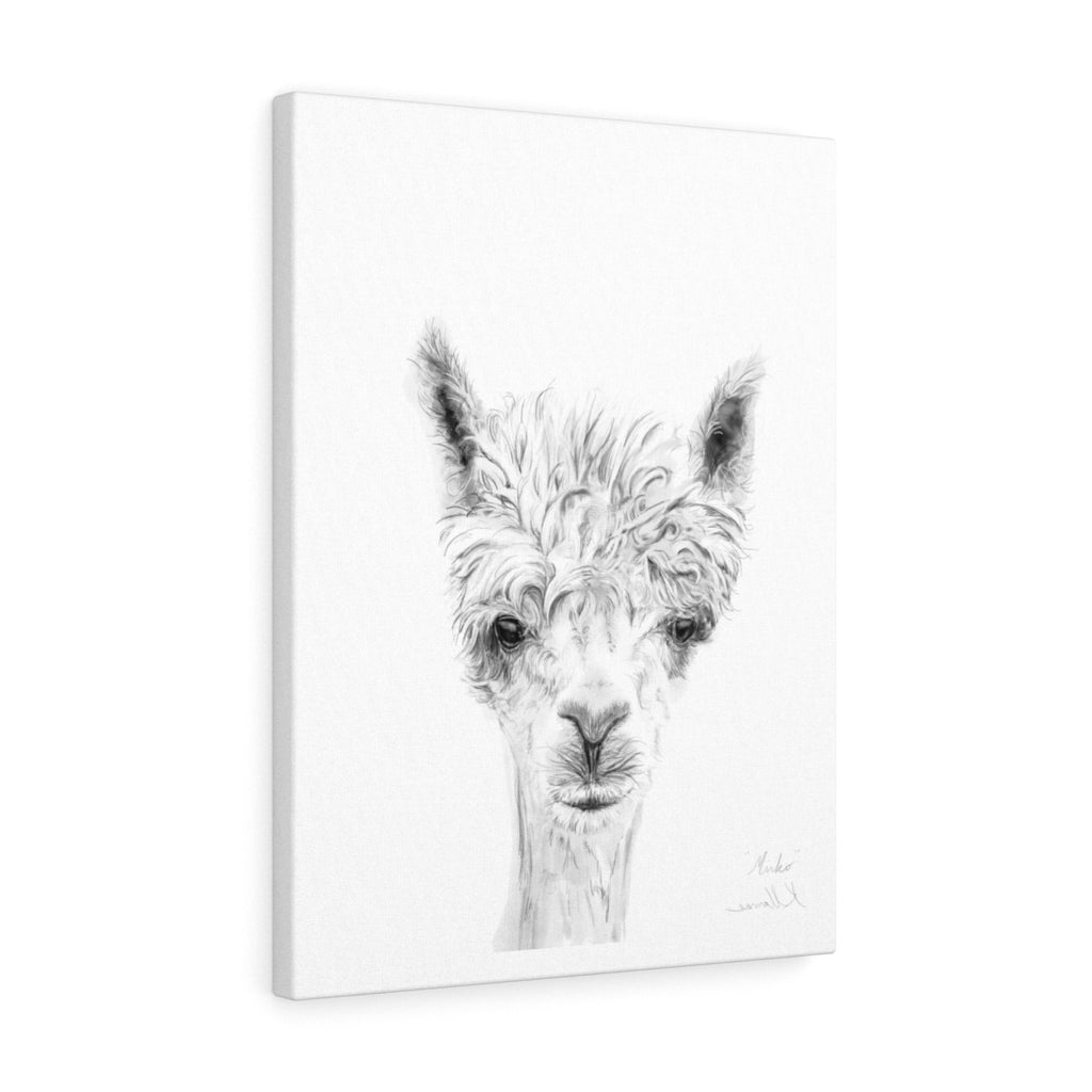 MIRKO Llama - Art Canvas