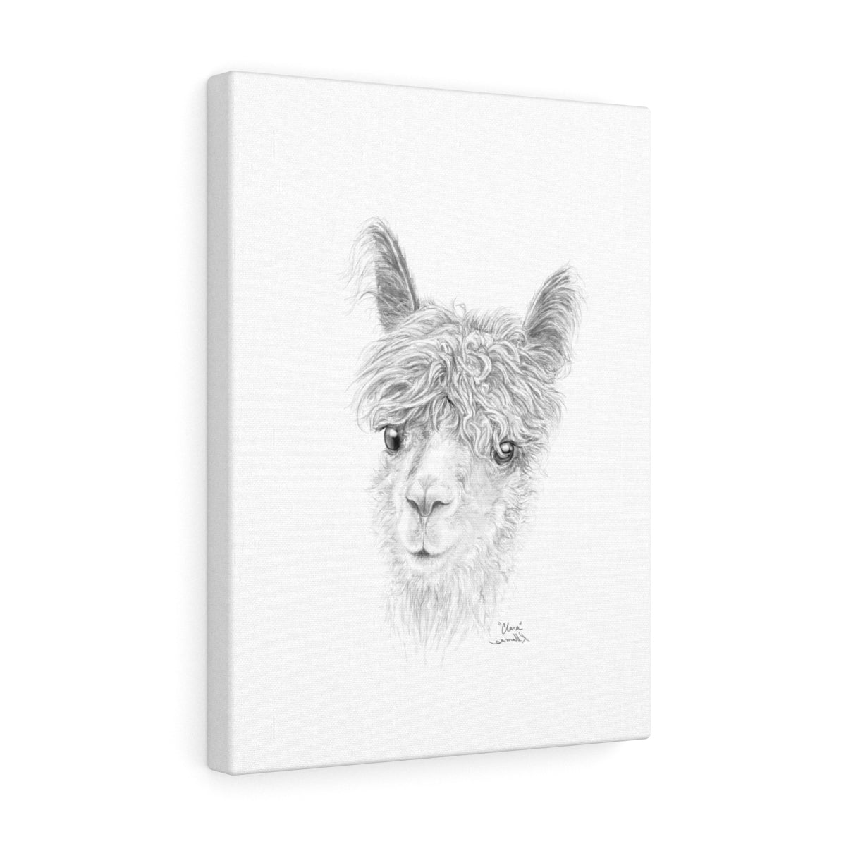 CLARA Llama - Art Canvas