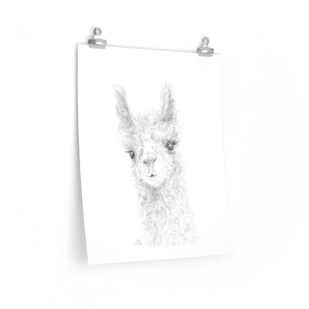 CHLOE Llama- Art Paper Print