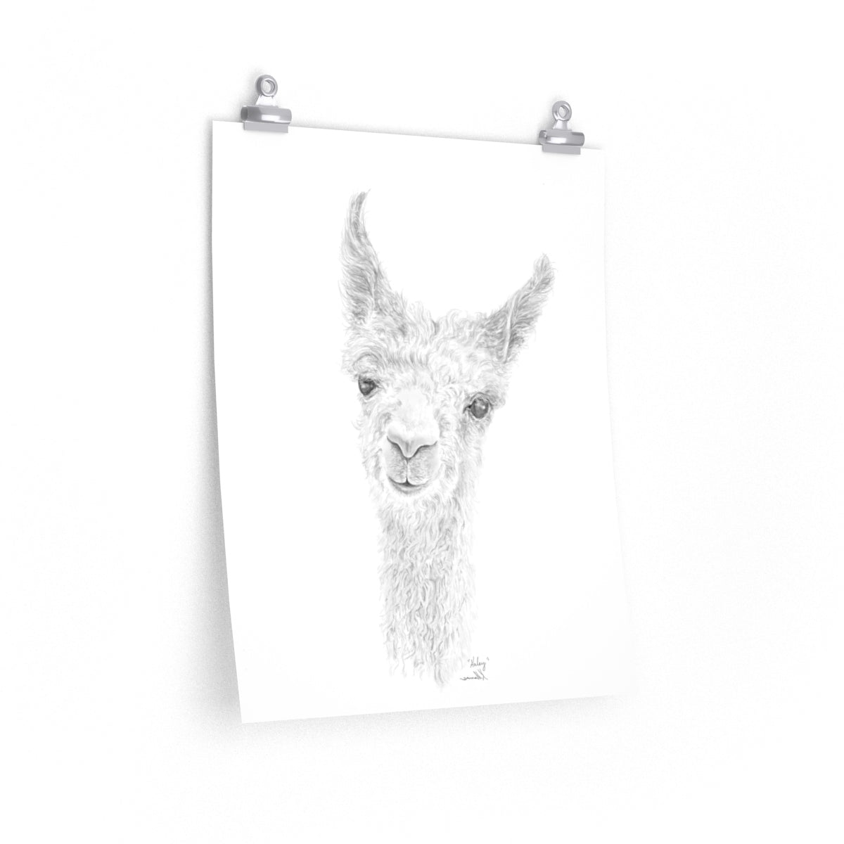 HALEY Llama- Art Paper Print