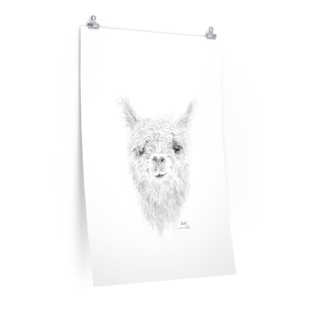 STELLA Llama- Art Paper Print