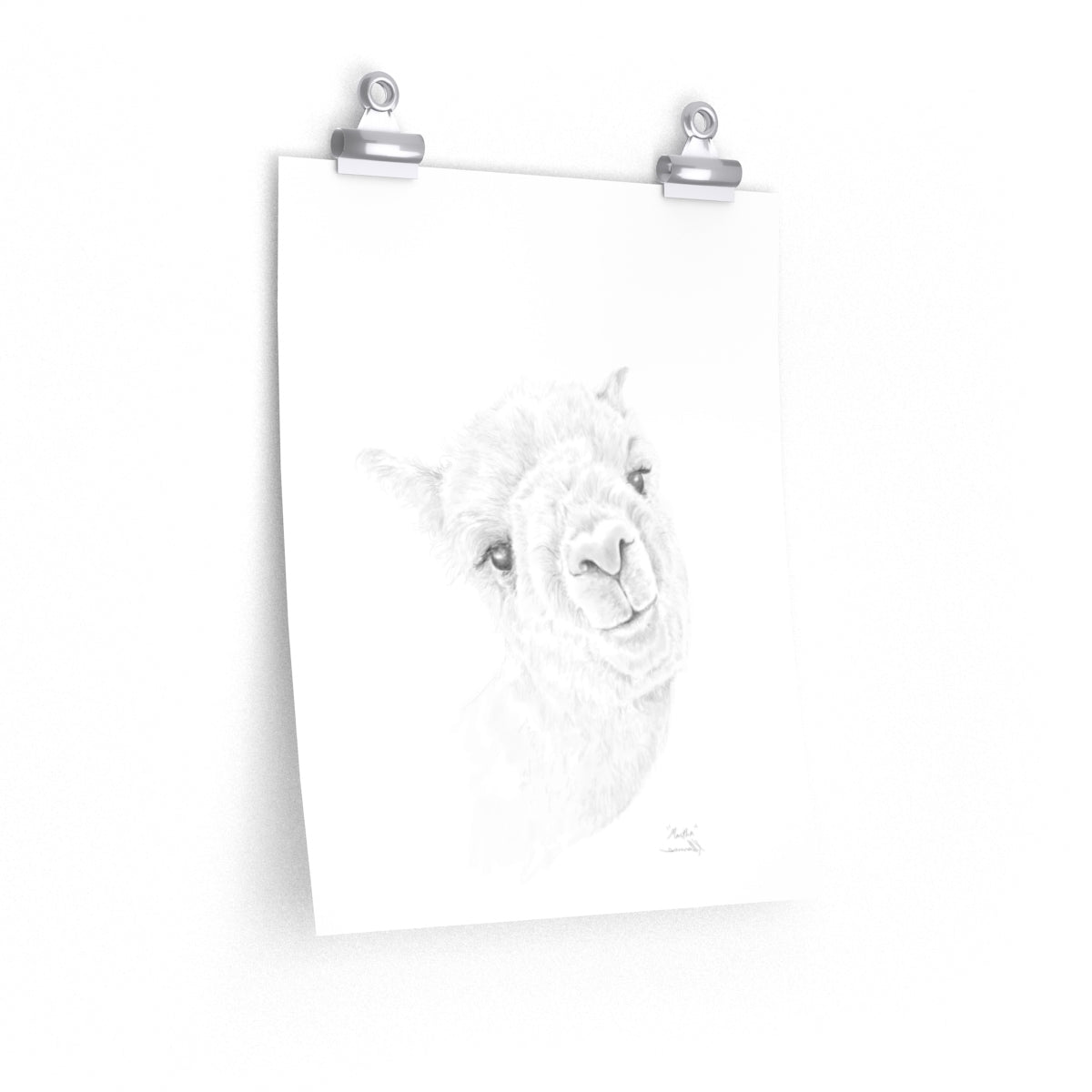 MARTHA Llama- Art Paper Print