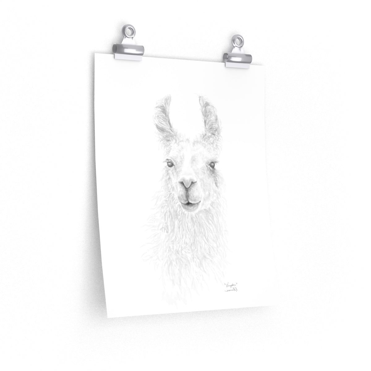 KINGSTON Llama- Art Paper Print