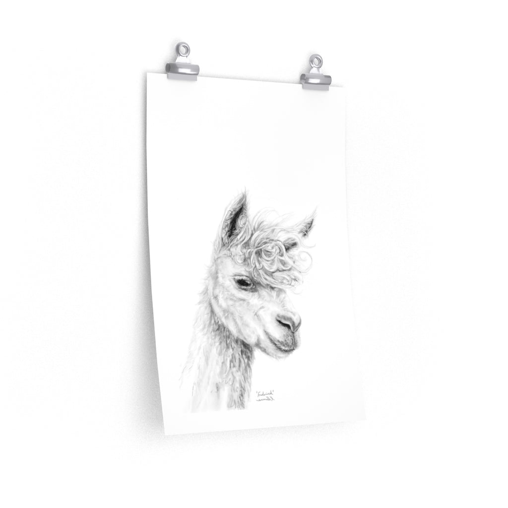 FREDERICK Llama- Art Paper Print