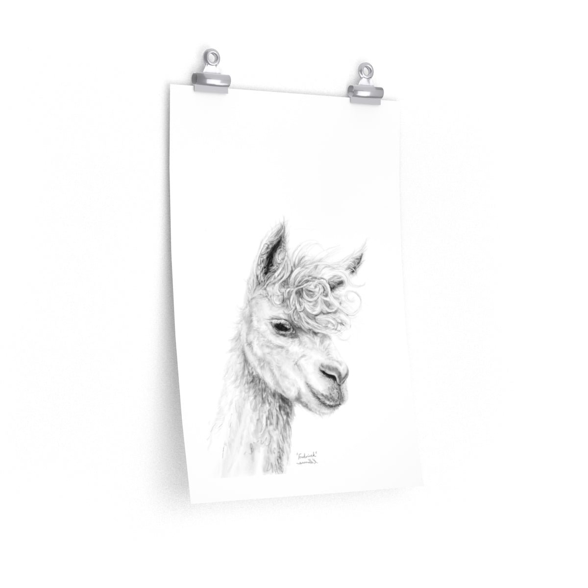 FREDERICK Llama- Art Paper Print