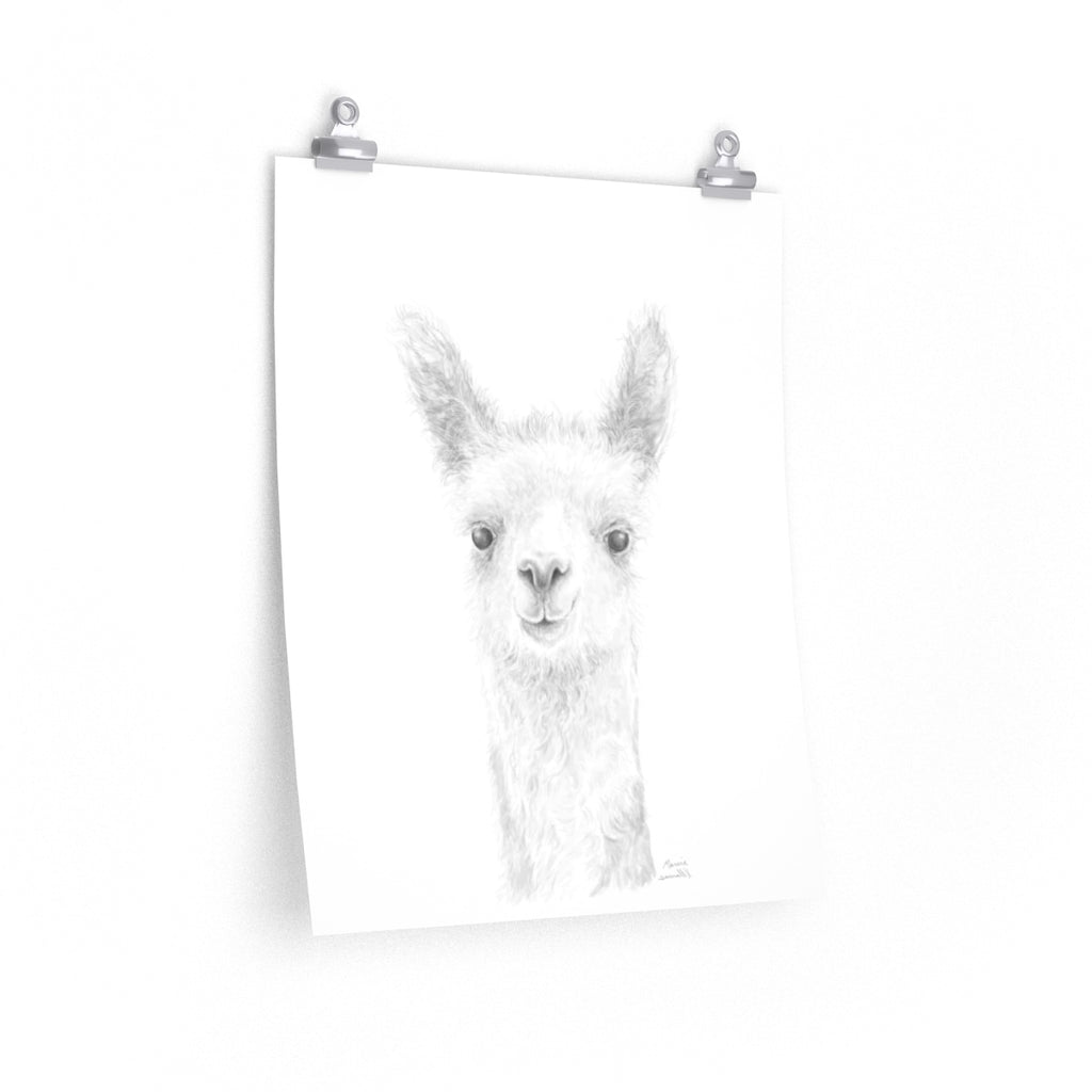 MARCIE Llama- Art Paper Print
