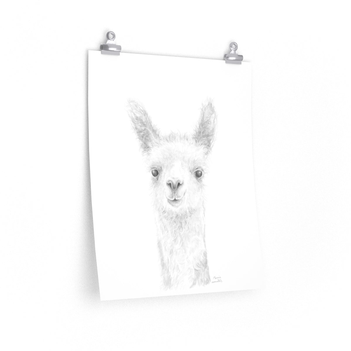 MARCIE Llama- Art Paper Print