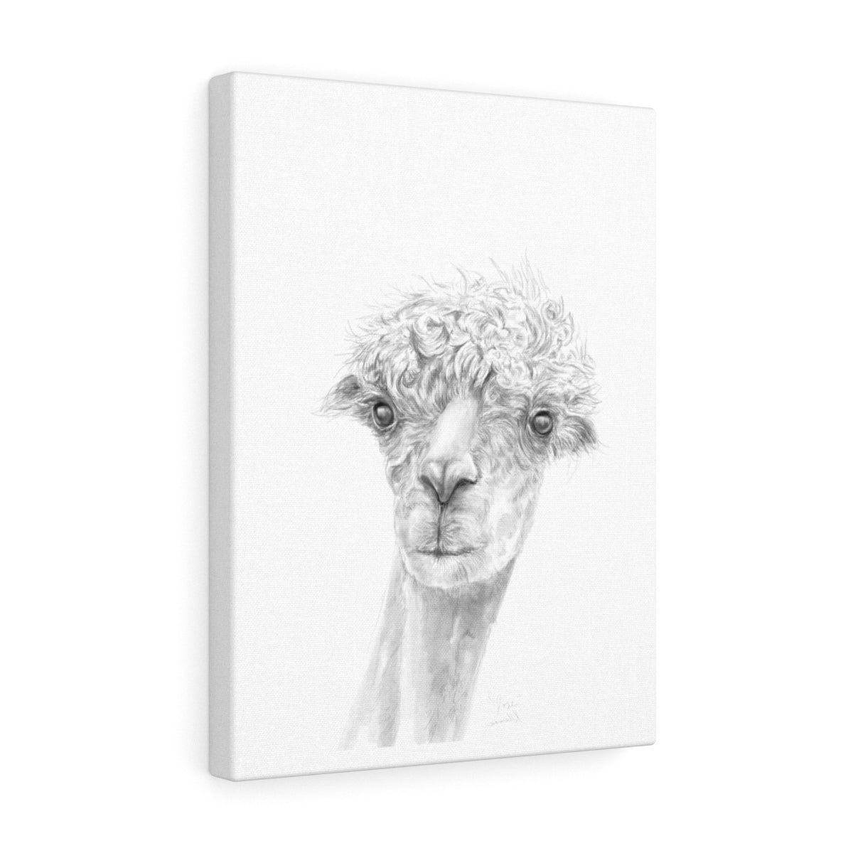 JOSE Llama - Art Canvas