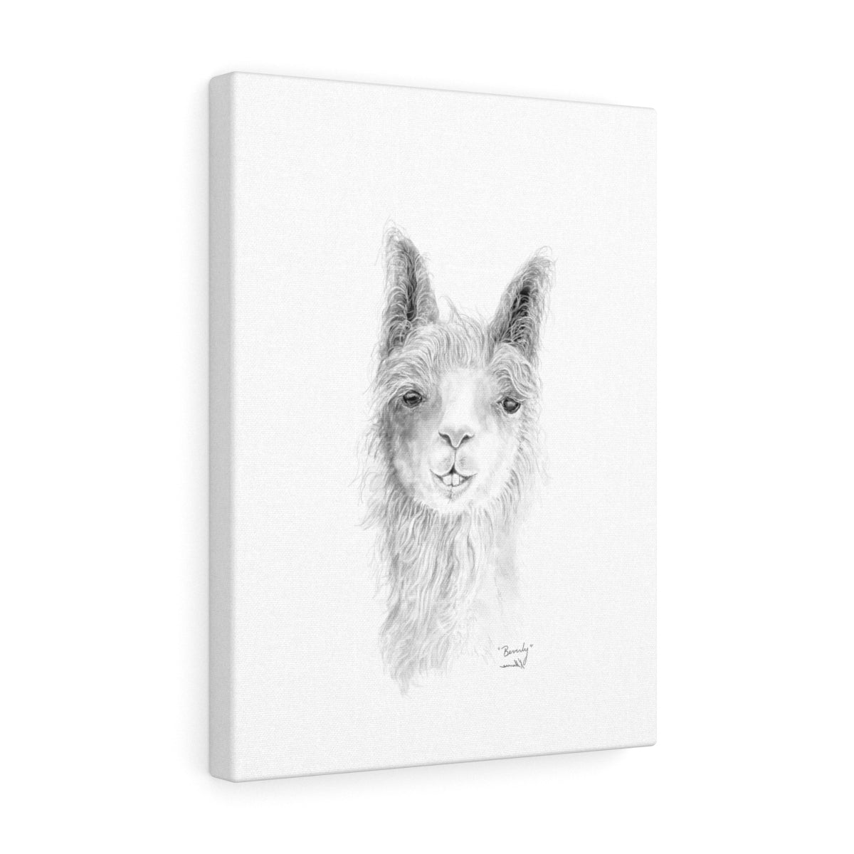 BEVERLY Llama - Art  Canvas