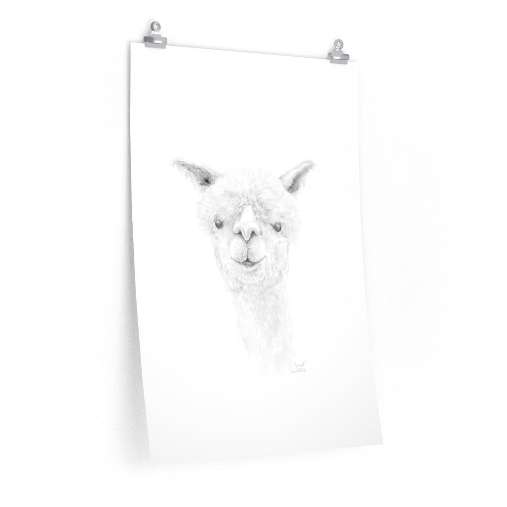 JARED Llama- Art Paper Print