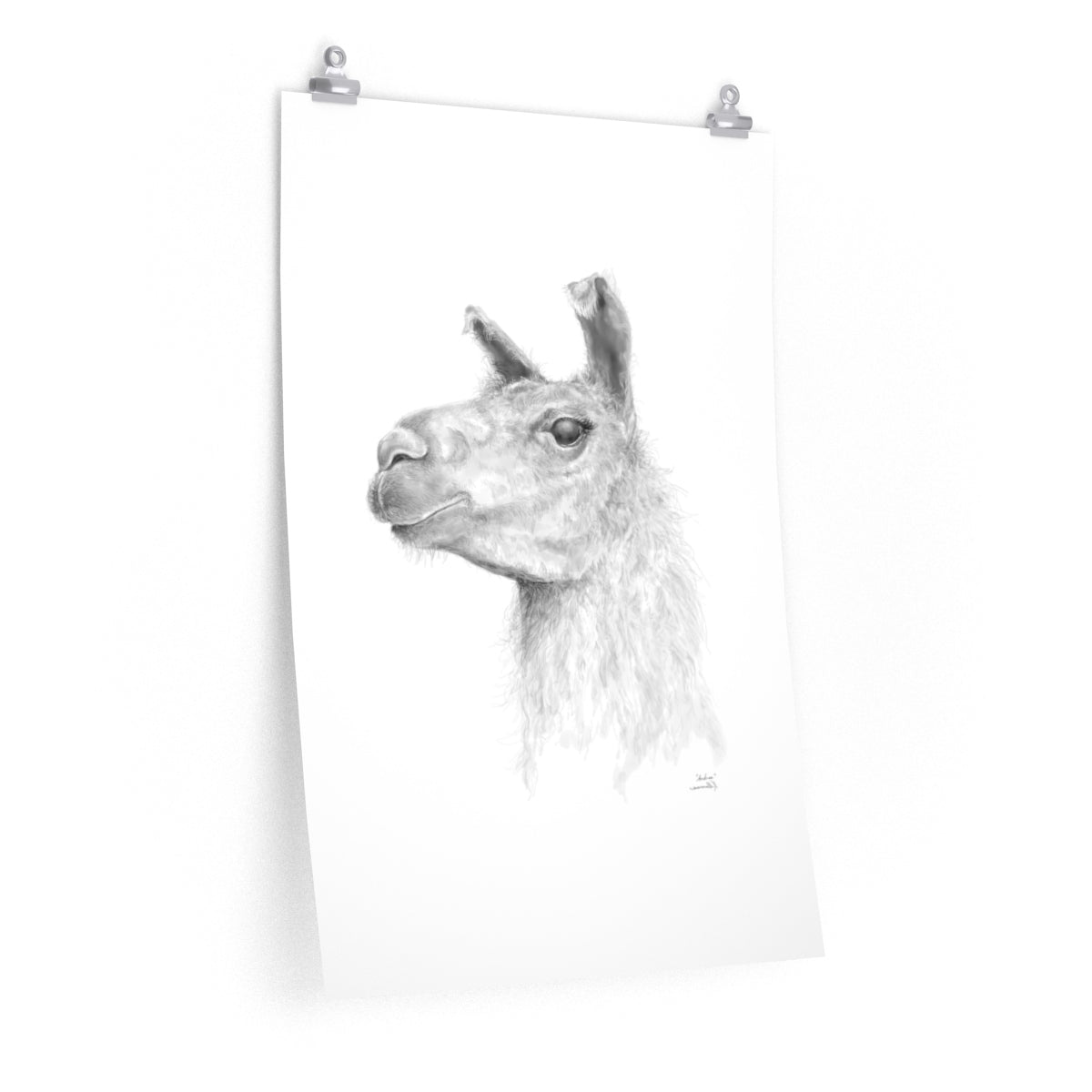 ANDREA Llama- Art Paper Print