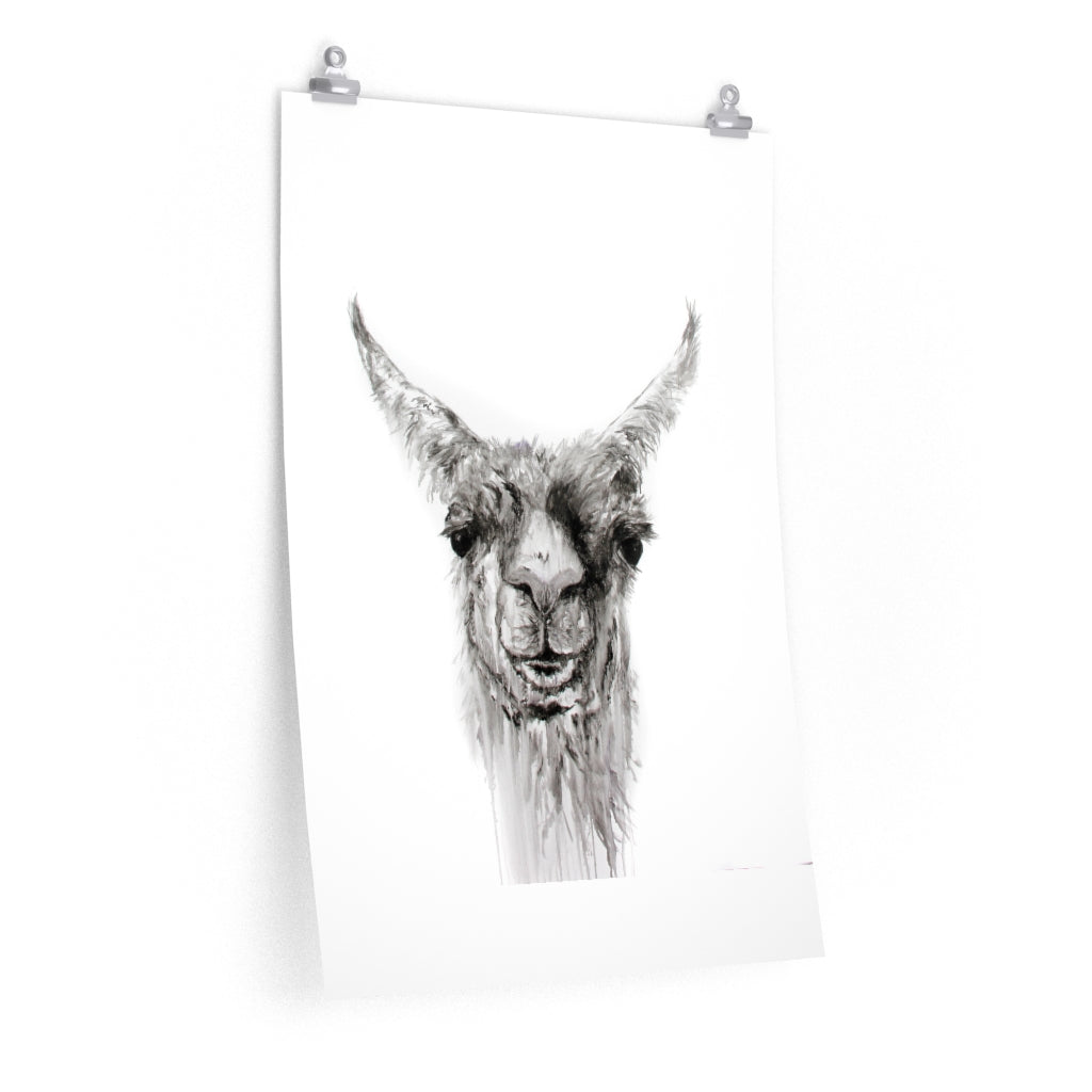 NEMORIO Llama- Art Paper Print