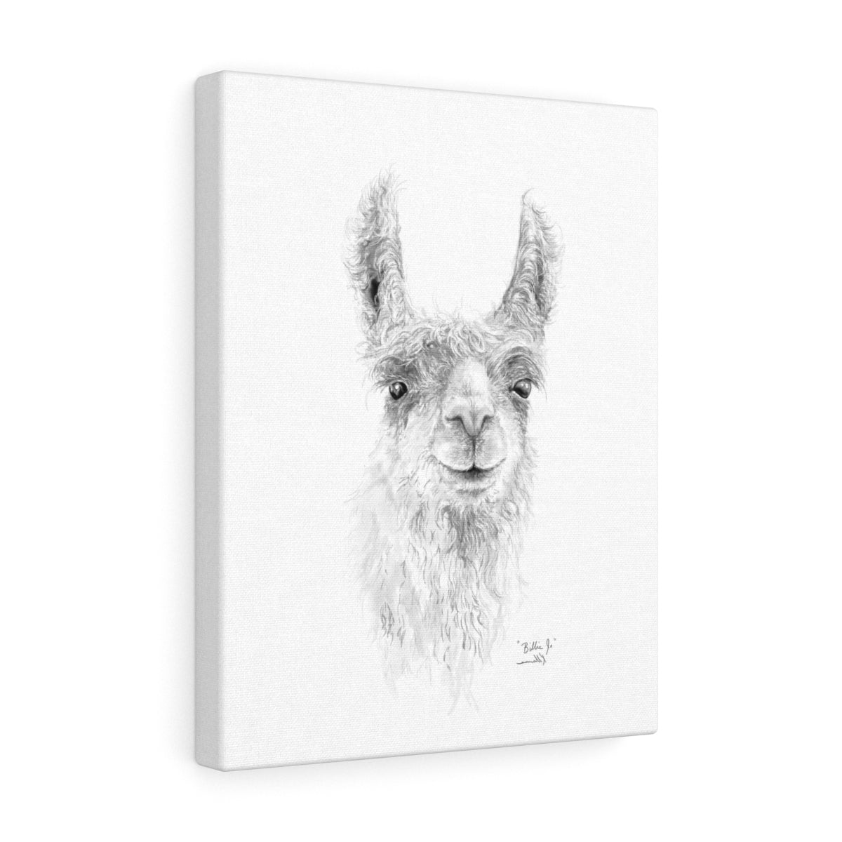 BILLIE-JO Llama - Art Canvas