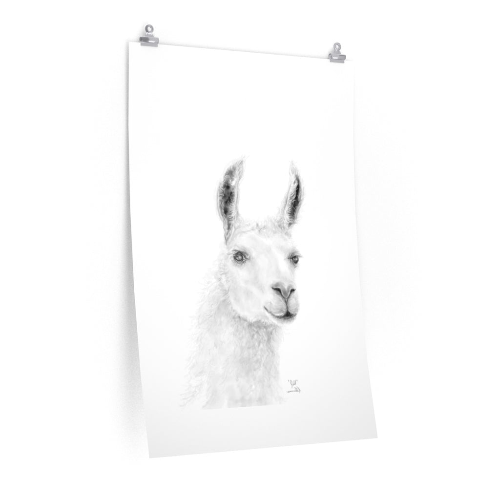 JILL Llama- Art Paper Print