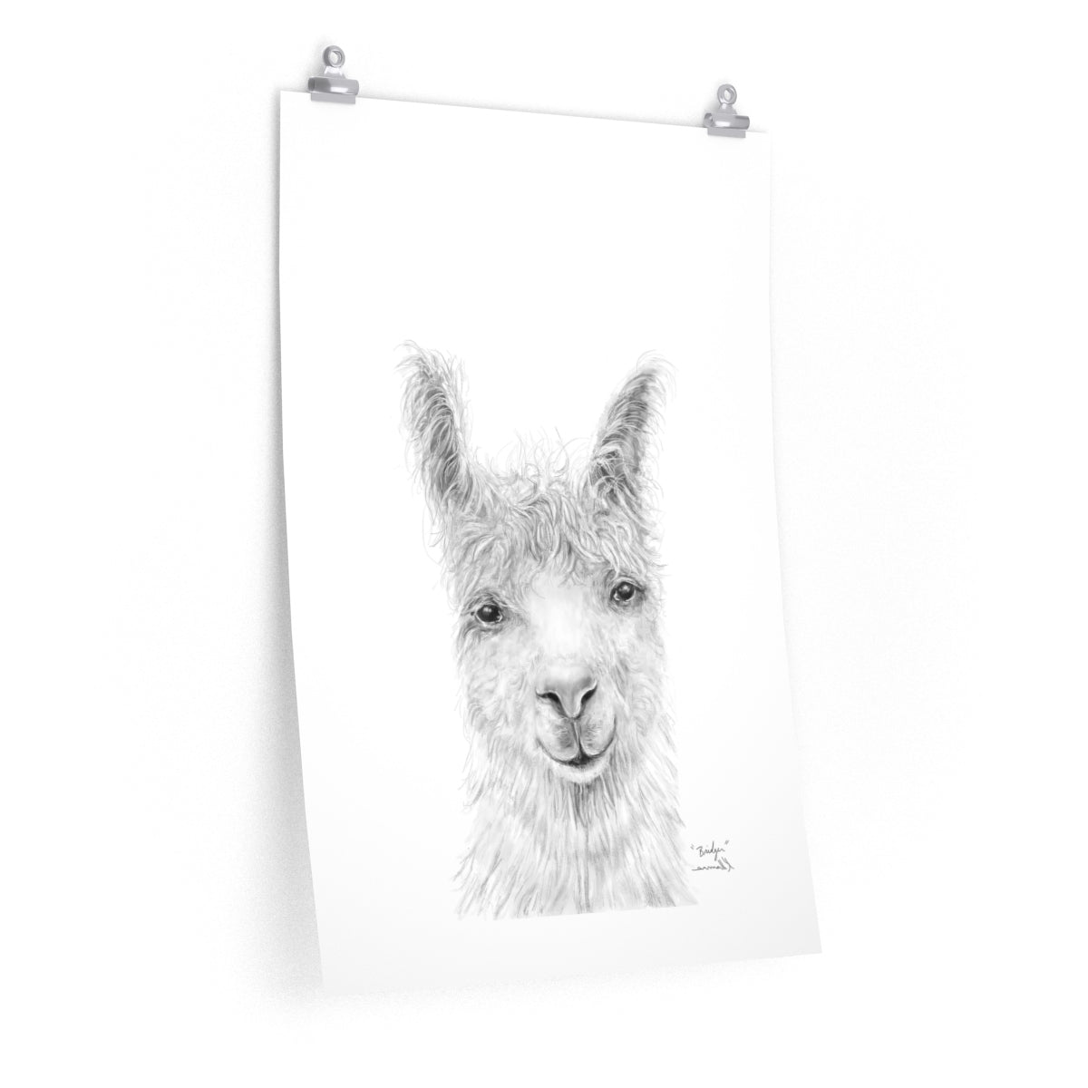 BRIDGER Llama- Art Paper Print