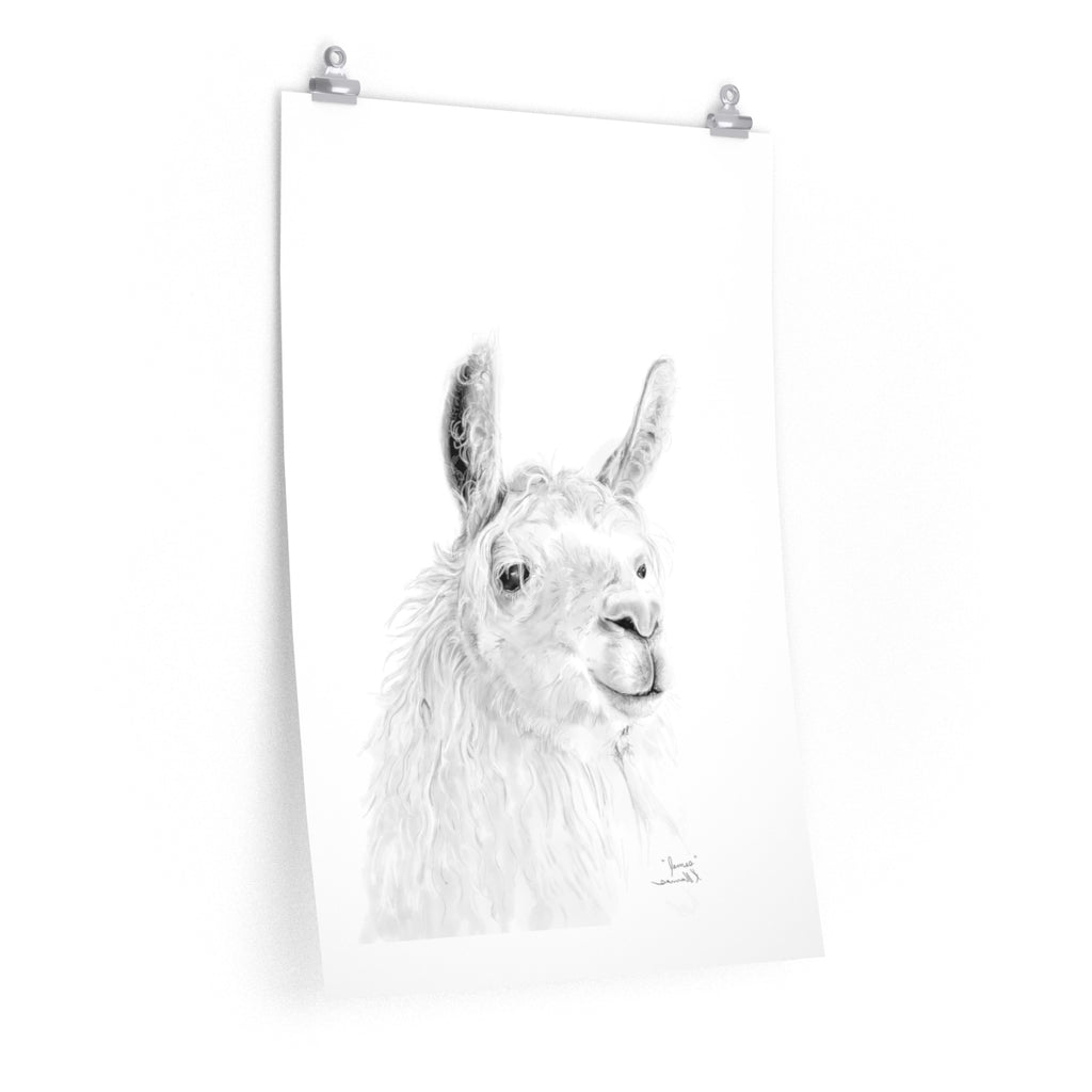 JAMES Llama- Art Paper Print
