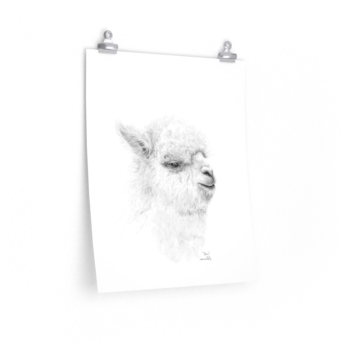 BEN Llama- Art Paper Print