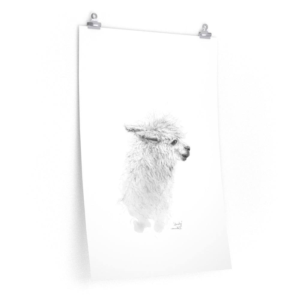SANDY Llama- Art Paper Print