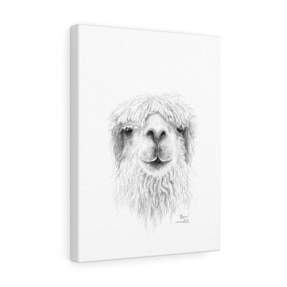 BLAIN Llama - Art Canvas