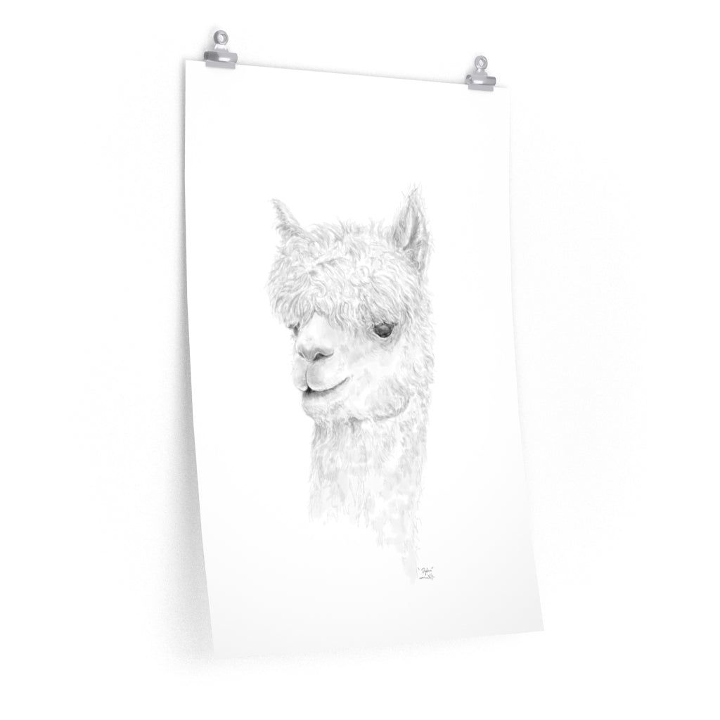 DYLAN Llama- Art Paper Print