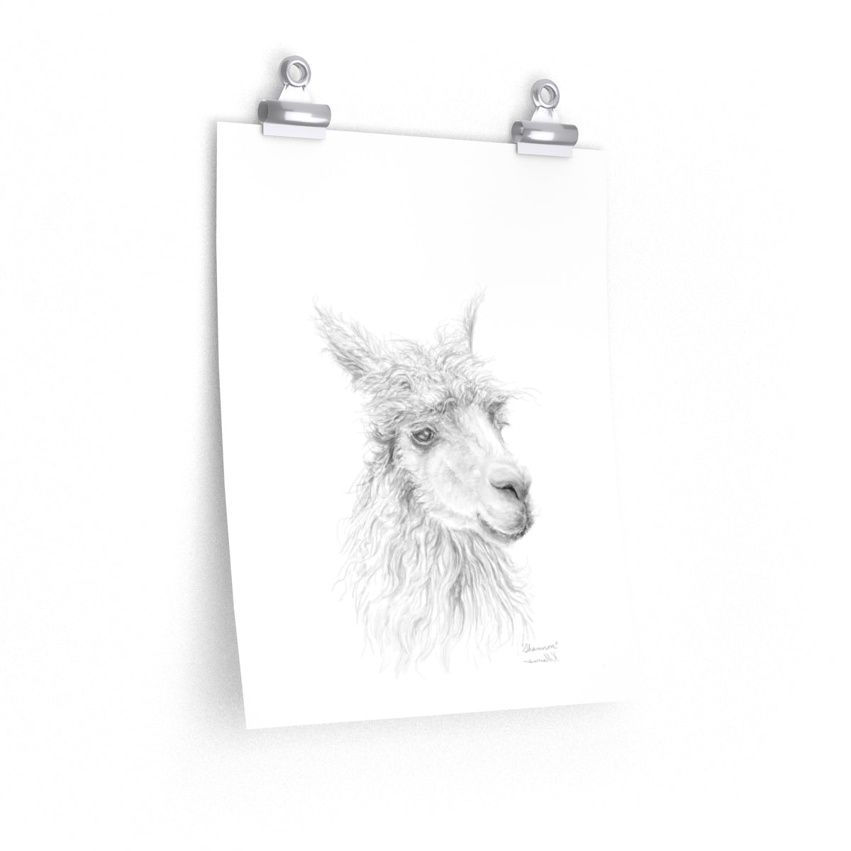 SHANNON Llama- Art Paper Print