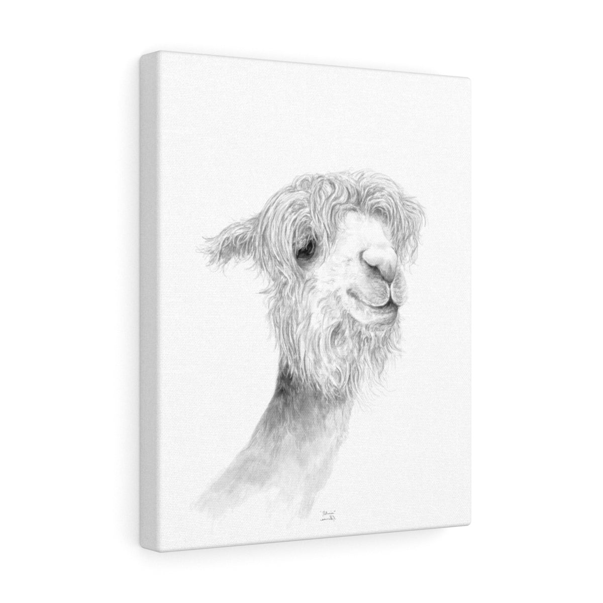 PATRICIA Llama - Art Canvas