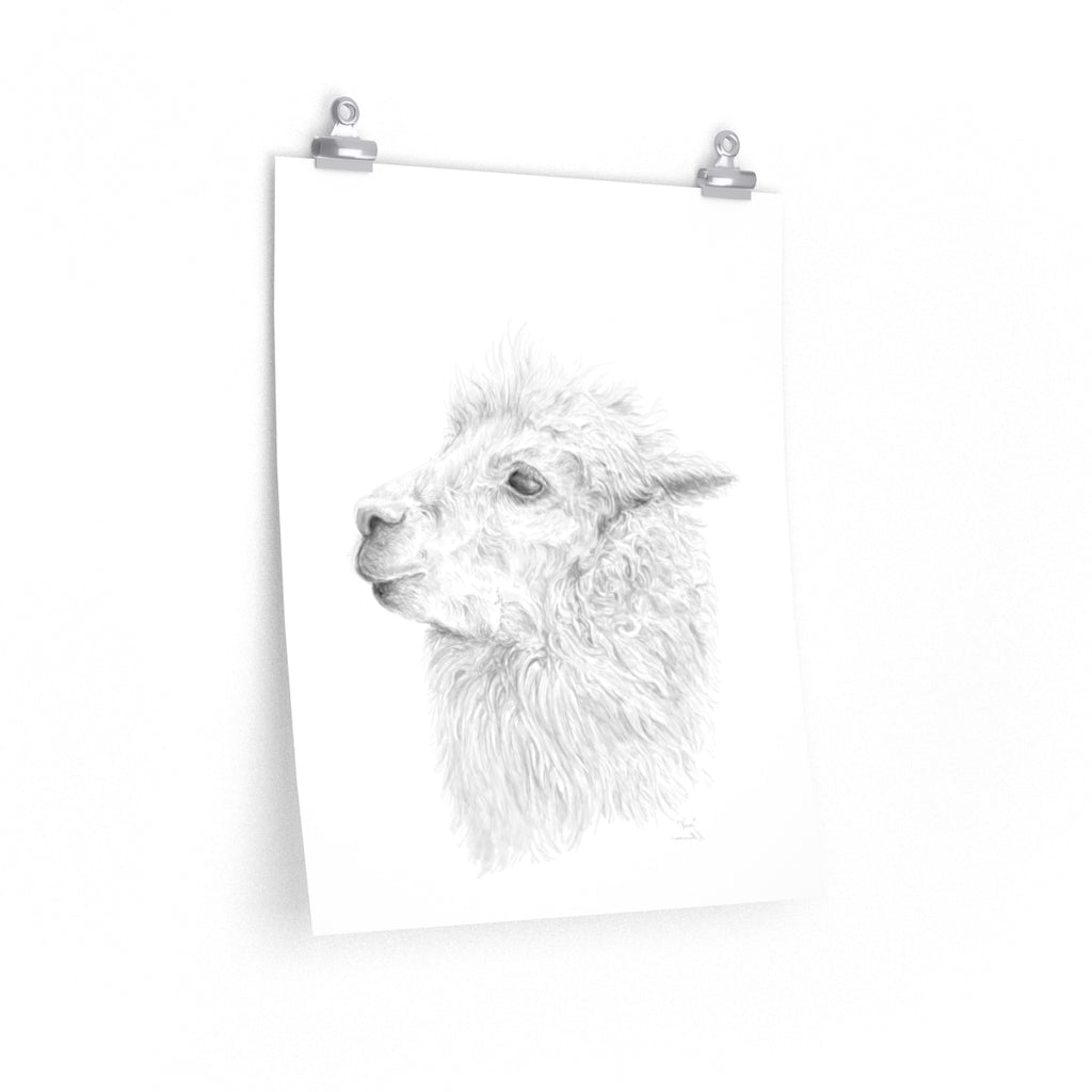 VERA Llama- Art Paper Print