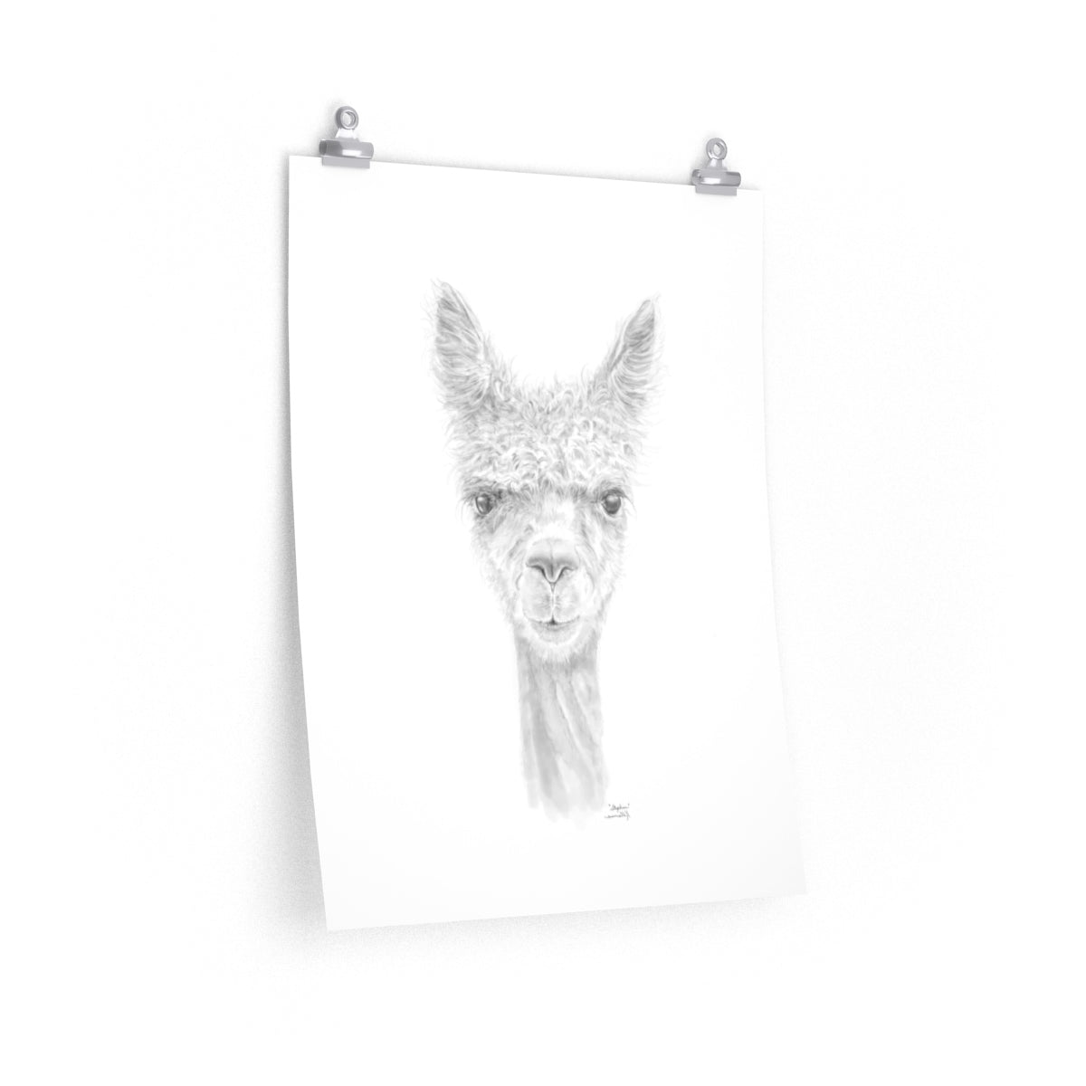 STEPHEN Llama- Art Paper Print