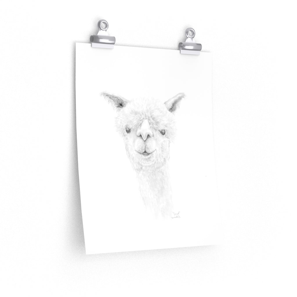 JARED Llama- Art Paper Print