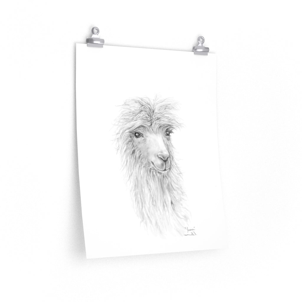 JESSICA Llama- Art Paper Print