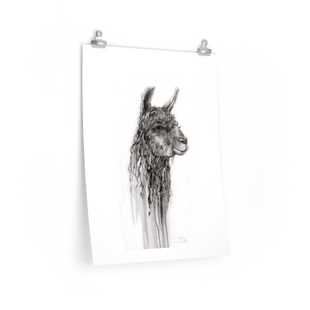CHARLENE Llama- Art Paper Print