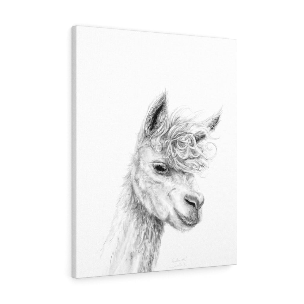FREDERICK Llama - Art Canvas