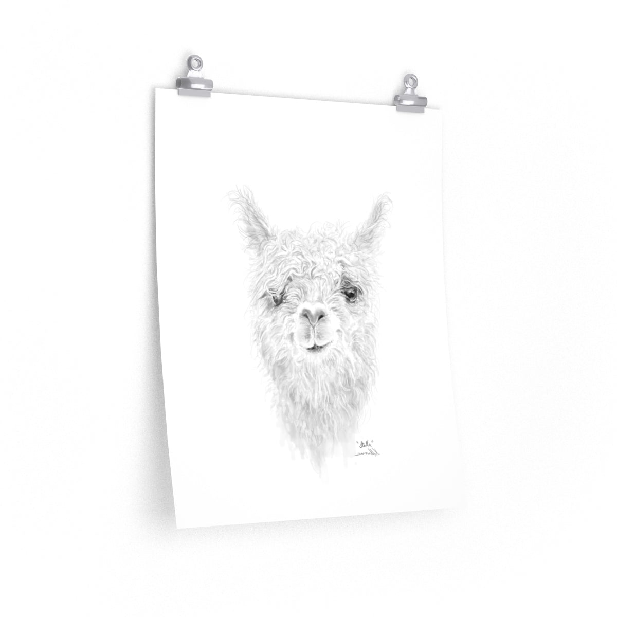 STELLA Llama- Art Paper Print