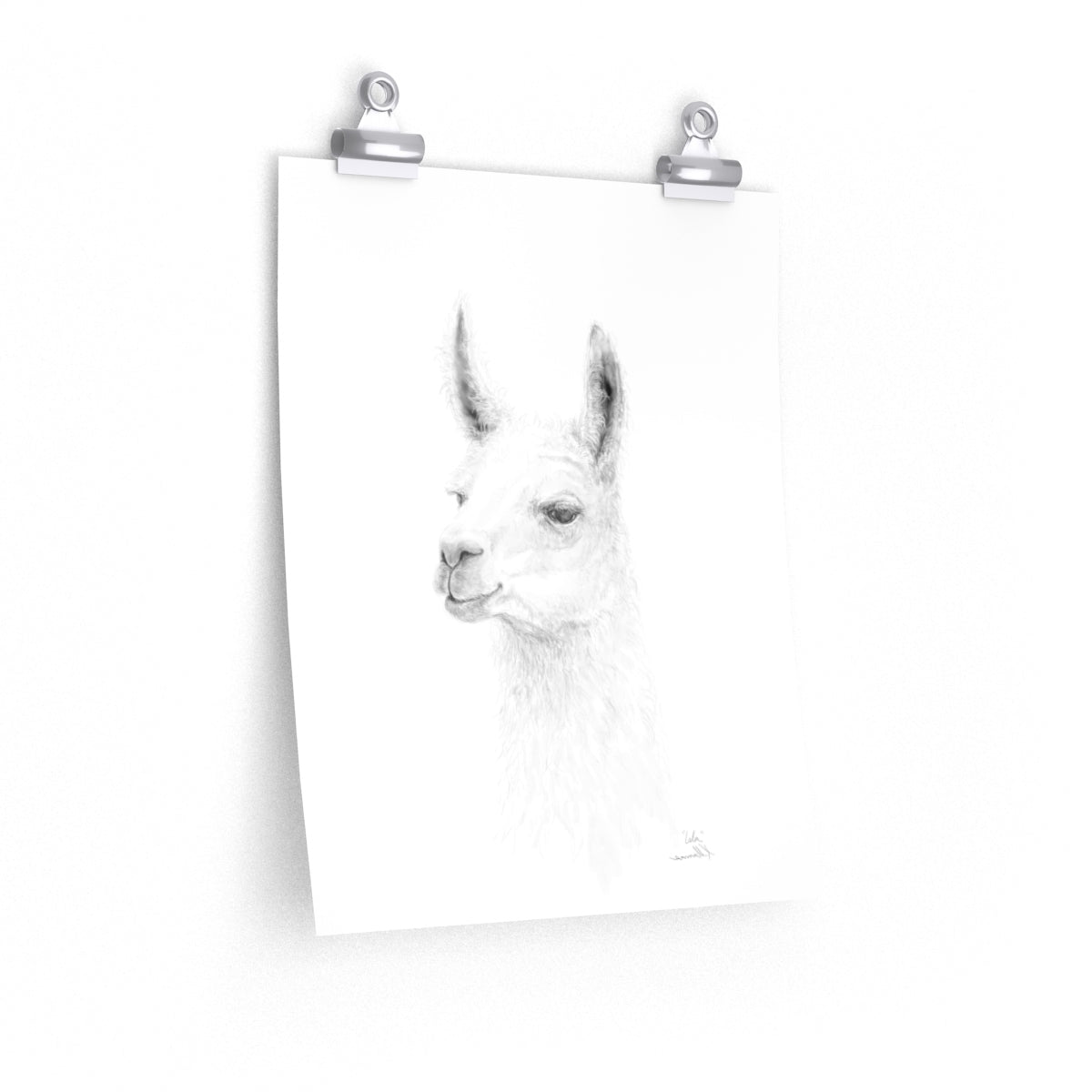 ISLA Llama- Art Paper Print