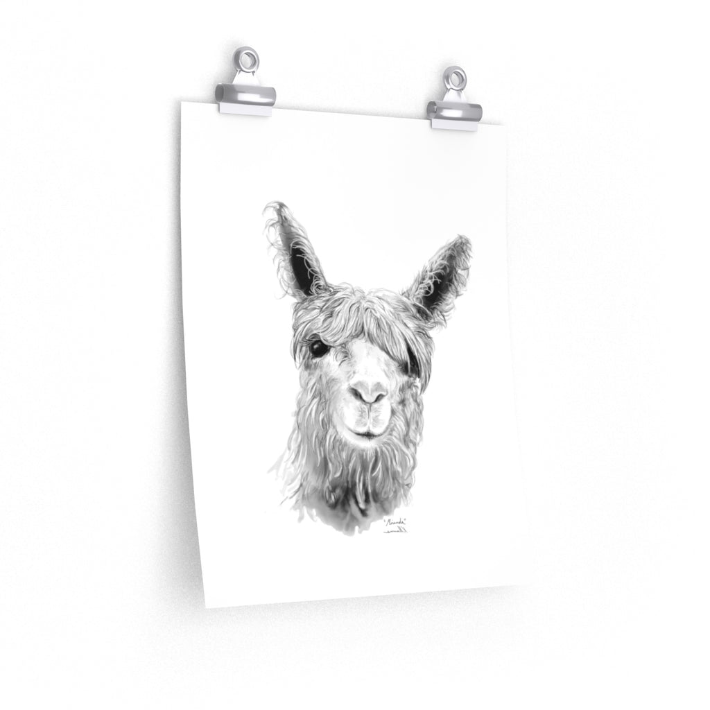 MIRANDA Llama- Art Paper Print