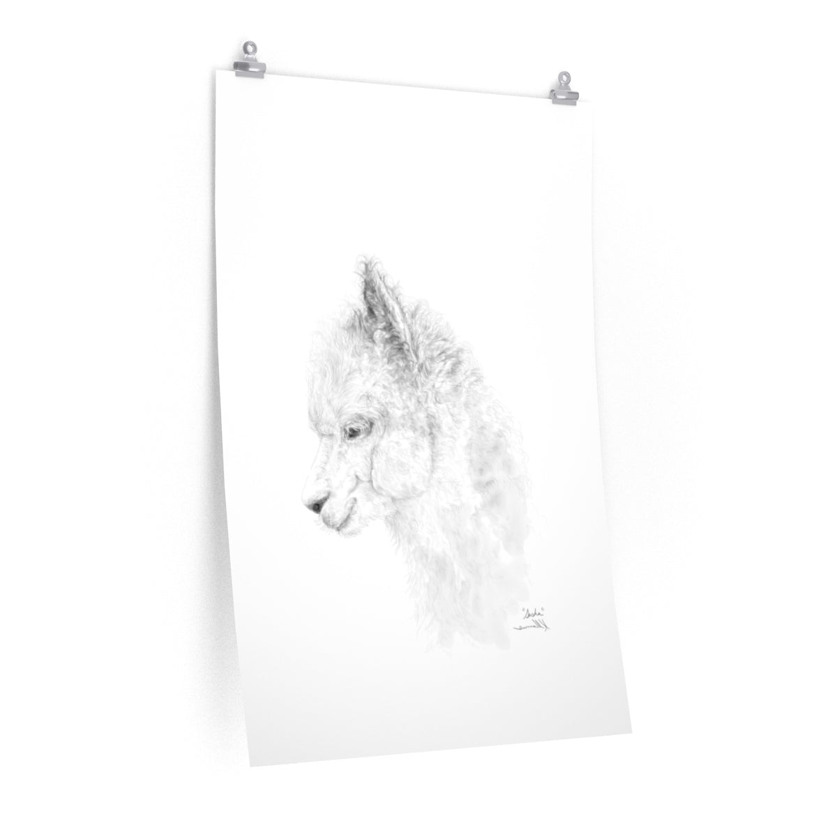 SASHA Llama- Art Paper Print