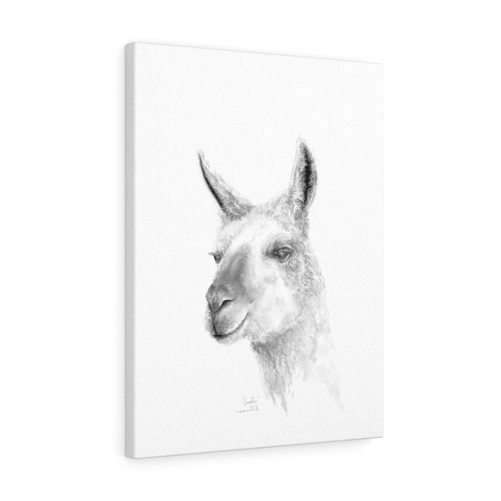 INDI Llama - Art Canvas