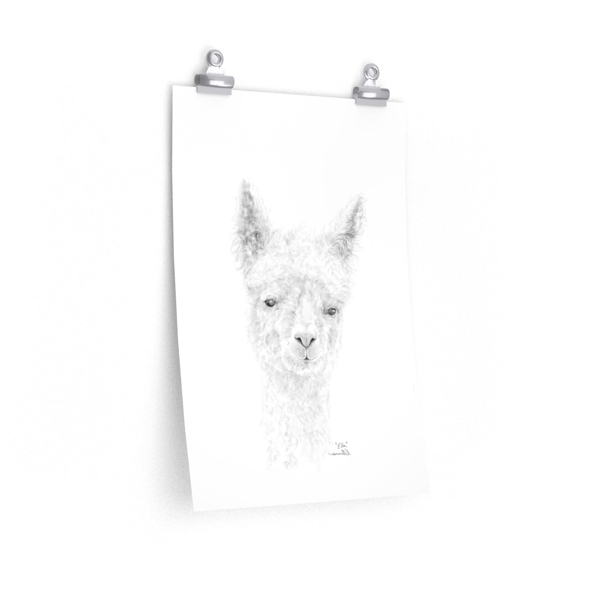 ELLA Llama- Art Paper Print