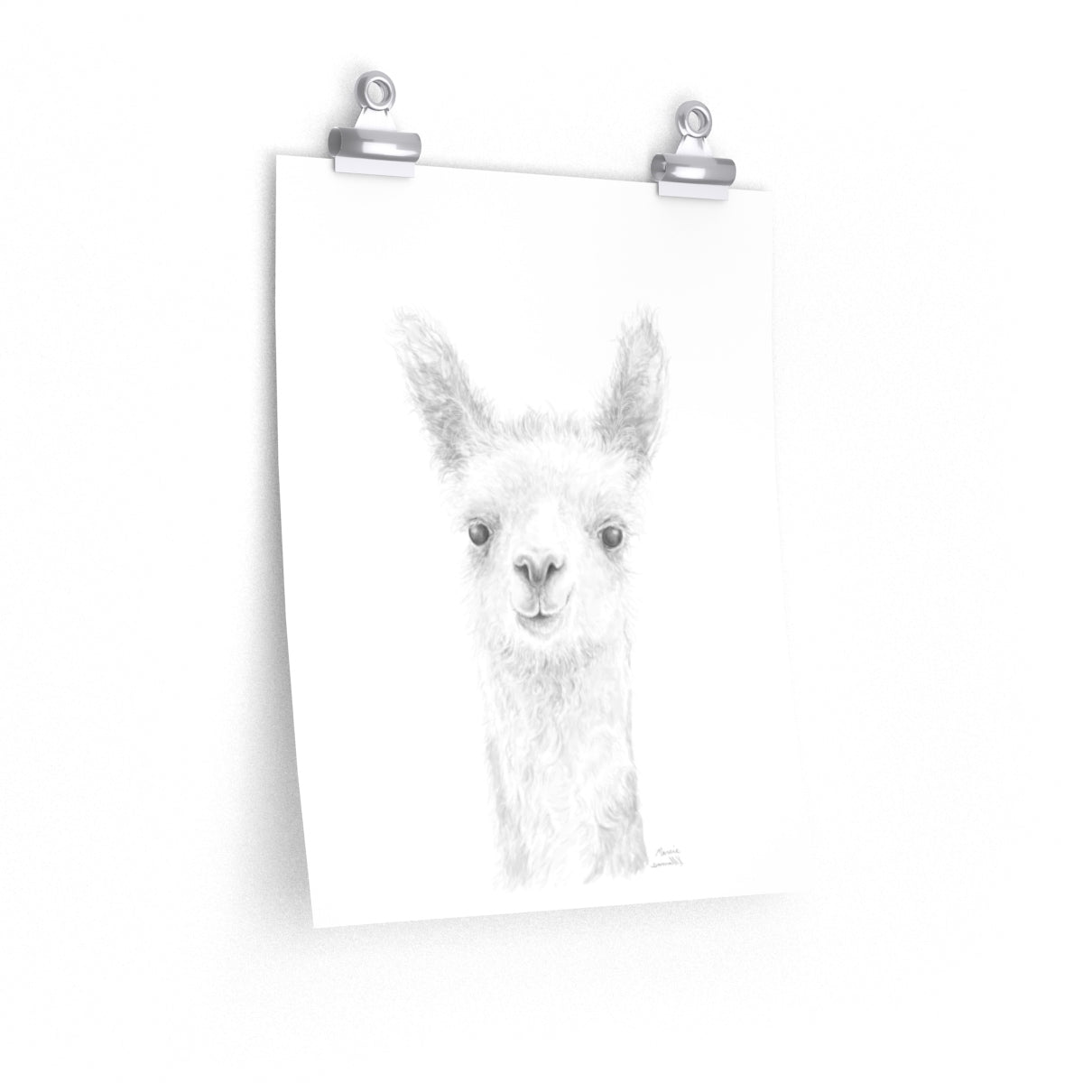 MARCIE Llama- Art Paper Print