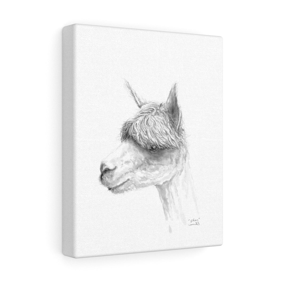 ETHAN Llama - Art Canvas