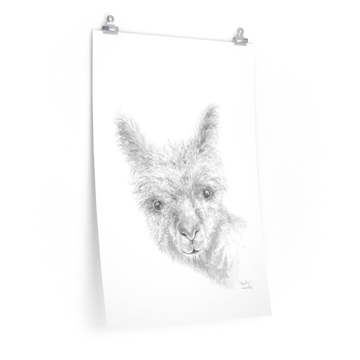 MEADOW Llama- Art Paper Print
